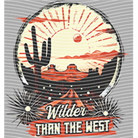 Country music-CM-1161